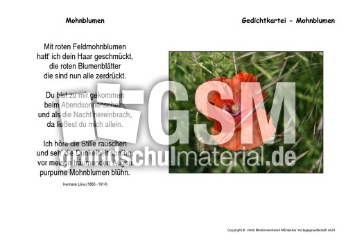 Mohnblumen-Löns.pdf